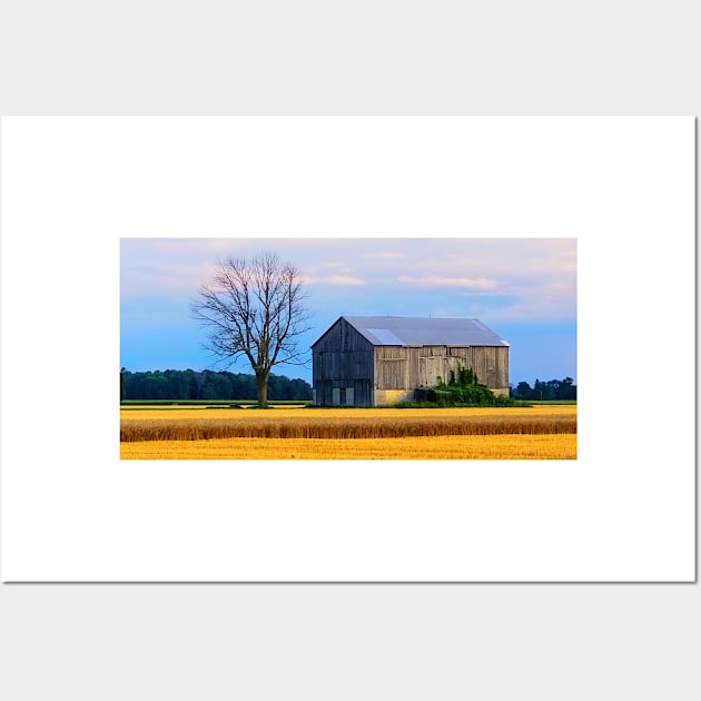 Dead Tree and Barn Wall Art by BrianPShaw